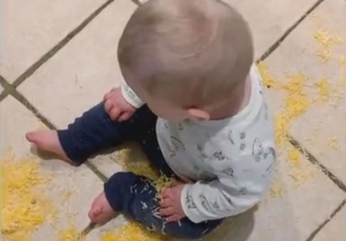 Малыш использовал спецтехнику, чтобы покормить братишку сыром с пола