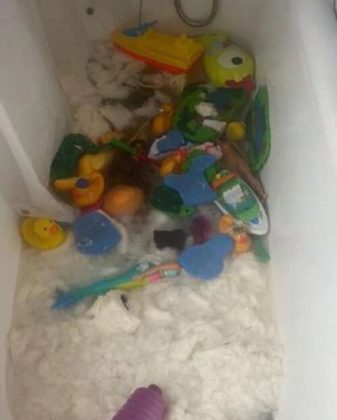 Детишки уничтожили запас туалетной бумаги, купленный матерью