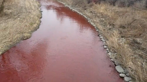 Вода в ручье стала красной из-за разлившихся чернил