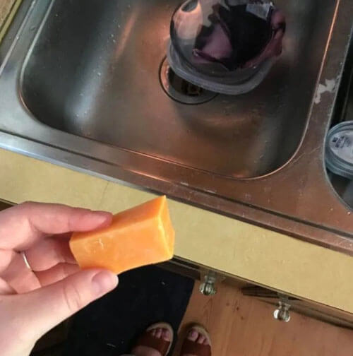 Испортившееся мыло, которое совсем не пенилось, оказалось куском сыра