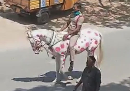 Разрисованная полицейская лошадь многим не понравилась