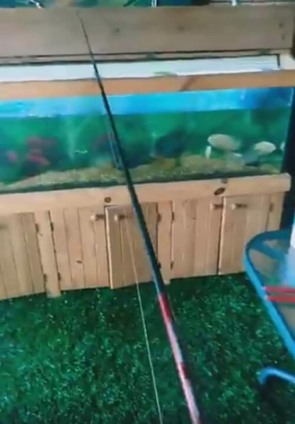 С помощью аквариума чудак сумел порыбачить, не покидая дом