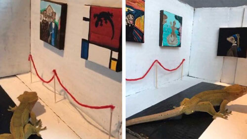 Благодаря хозяйке-выдумщице геккон посетил картинную галерею