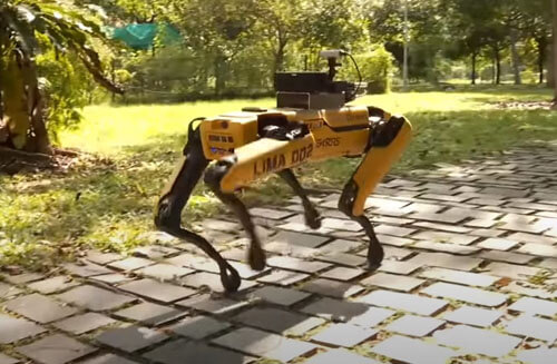 Робот-собака гуляет по парку, напоминая горожанам о том, как важно соблюдать карантин