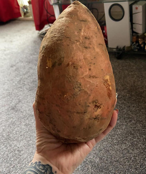 Заказав килограмм сладкого картофеля, женщина получила всего один гигантский экземпляр