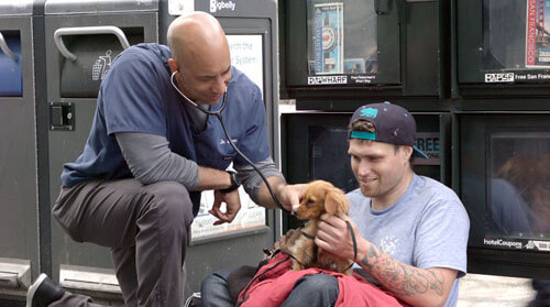 Ветеринар ходит по улицам и лечит питомцев, принадлежащих бездомным людям